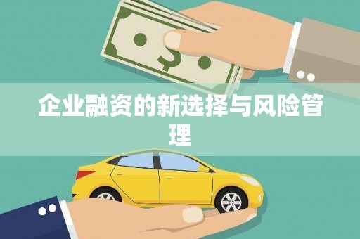 宁晋企业融资的新选择与风险管理