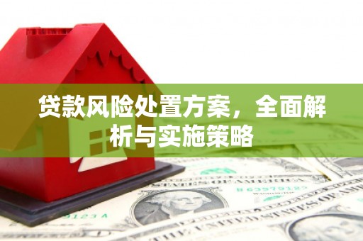 宁晋贷款风险处置方案，全面解析与实施策略