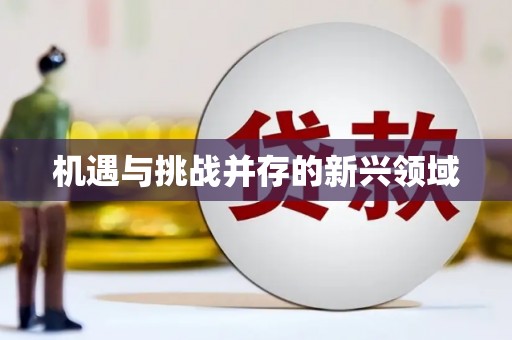宁晋机遇与挑战并存的新兴领域