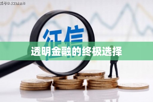 宁晋透明金融的终极选择