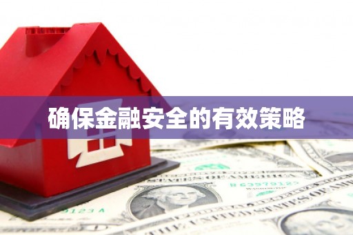 宁晋确保金融安全的有效策略