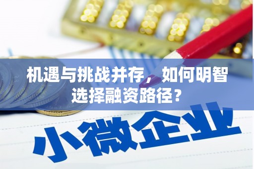 宁晋机遇与挑战并存，如何明智选择融资路径？