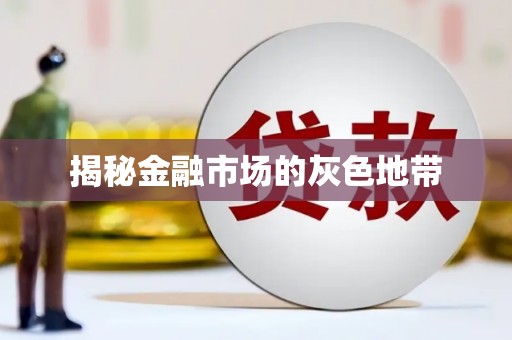 宁晋揭秘金融市场的灰色地带