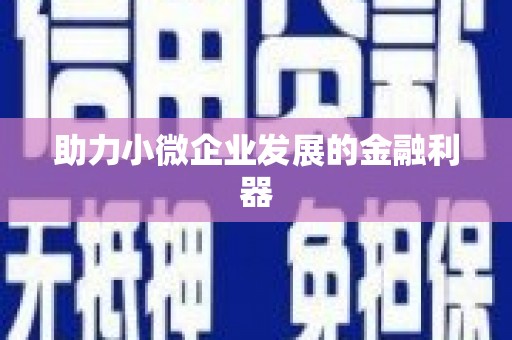 宁晋助力小微企业发展的金融利器