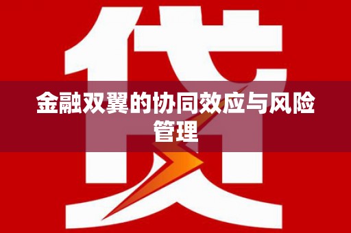 宁晋金融双翼的协同效应与风险管理