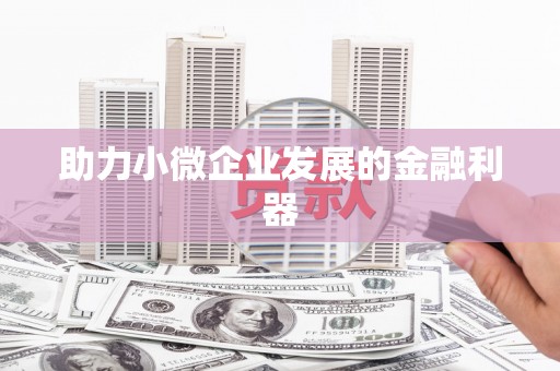 宁晋助力小微企业发展的金融利器