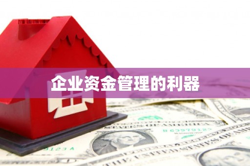 宁晋企业资金管理的利器