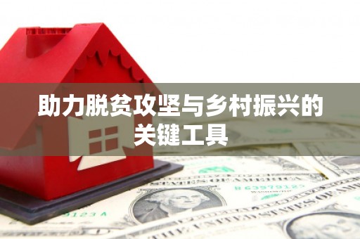 宁晋助力脱贫攻坚与乡村振兴的关键工具