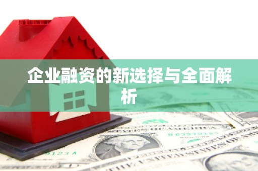 宁晋企业融资的新选择与全面解析