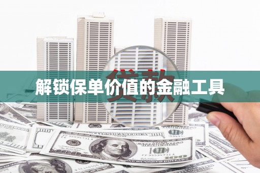 宁晋解锁保单价值的金融工具