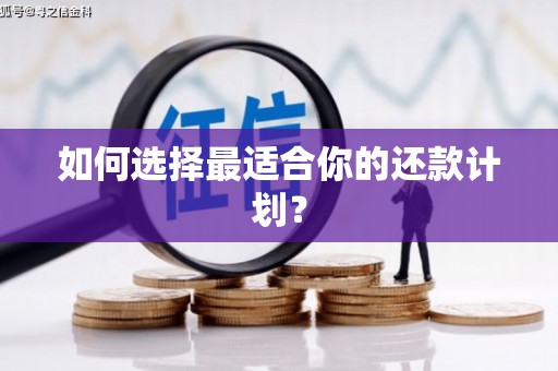 宁晋如何选择最适合你的还款计划？