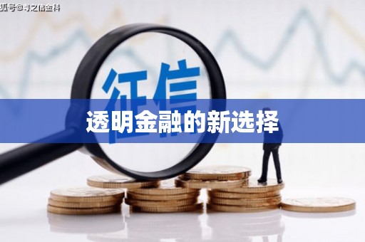 宁晋透明金融的新选择