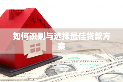 宁晋如何识别与选择最佳贷款方案