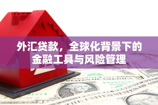 宁晋外汇贷款，全球化背景下的金融工具与风险管理