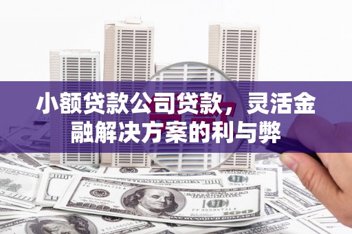 宁晋小额贷款公司贷款，灵活金融解决方案的利与弊