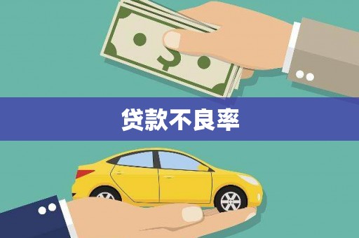 宁晋贷款不良率