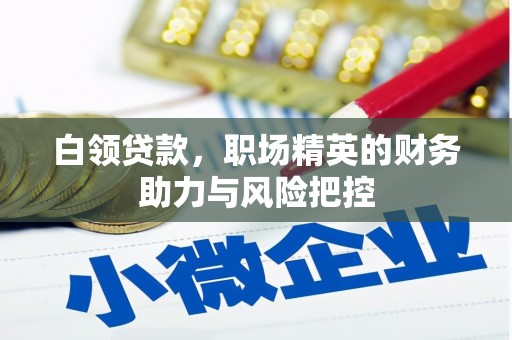 宁晋白领贷款，职场精英的财务助力与风险把控