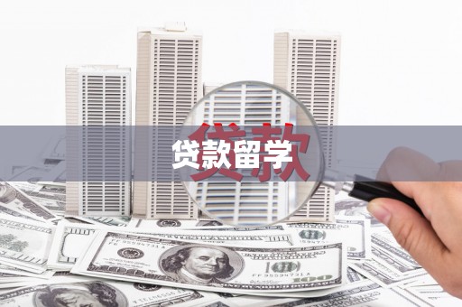 宁晋贷款留学