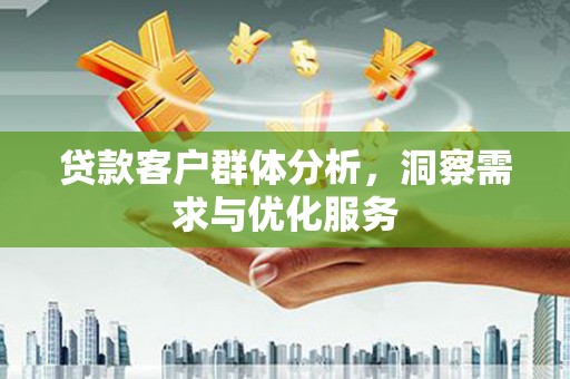 宁晋贷款客户群体分析，洞察需求与优化服务