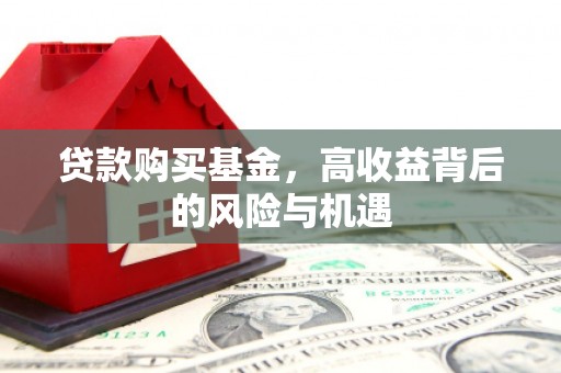 宁晋贷款购买基金，高收益背后的风险与机遇